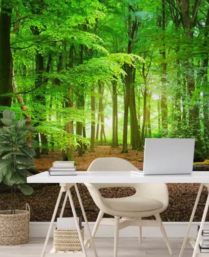 carta da parati murale personalizzabile verde e marrone chiamata Magical Forest per camere da letto e bagni carta da parati murale personalizzabile verde e marrone chiamata Magical Forest per camere da letto e bagni