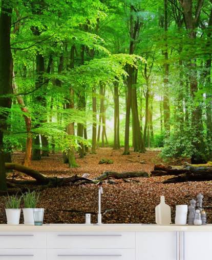 green and brown customisable forest wallpaper mural called Magical Forest for bedrooms and bathrooms green and brown customisable forest wallpaper mural called Magical Forest for bedrooms and bathrooms