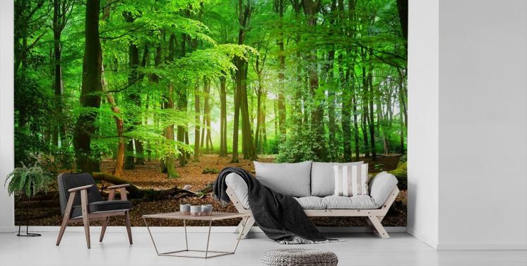 grønn og brun tilpassbar skogtapet veggmaleri kalt Magical Forest for soverom og bad