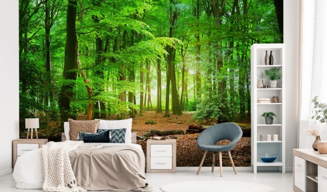 grønn og brun tilpassbar skogtapet veggmaleri kalt Magical Forest for soverom og bad