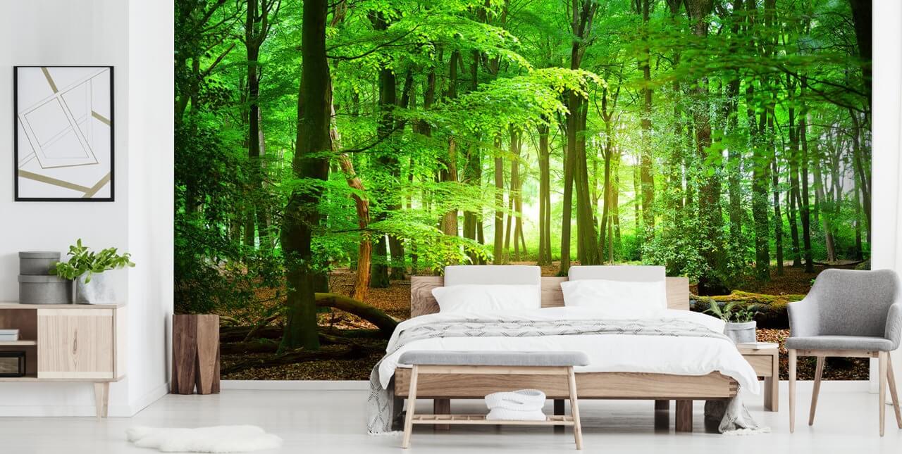 groene en bruine aanpasbare bosbehangmuurschildering genaamd Magical Forest voor slaapkamers en badkamers
