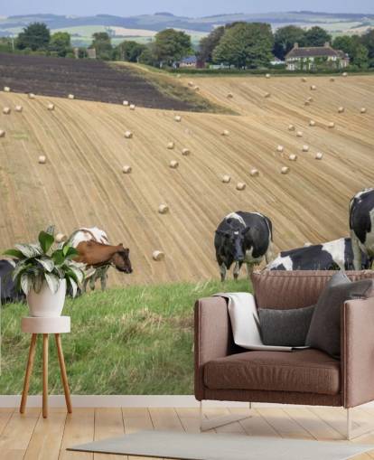 Fondo de pantalla de granjas y vacas Fondo de pantalla de granjas y vacas