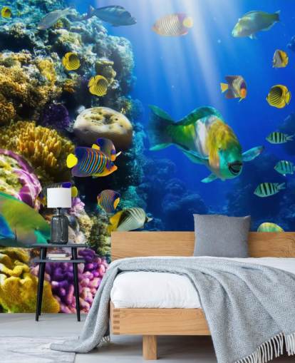 Coral and Fish Wallpaper Coral and Fish Wallpaper