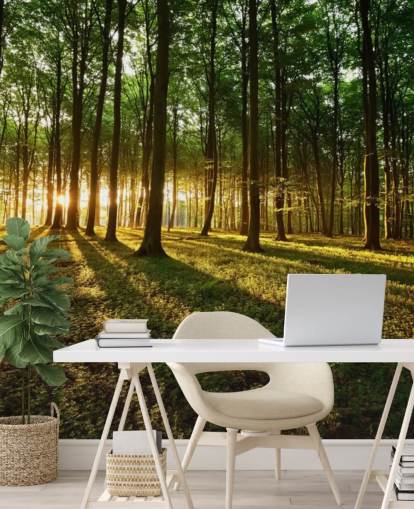 green customisable tree wallpaper mural called Rays of Light for office green customisable tree wallpaper mural called Rays of Light for office