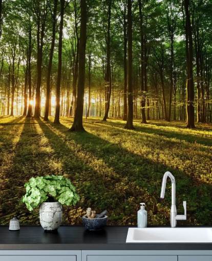 carta da parati murale con albero verde personalizzabile chiamata Rays of Light for office carta da parati murale con albero verde personalizzabile chiamata Rays of Light for office