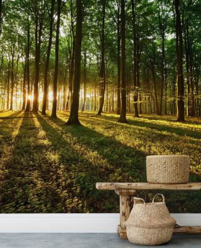 grön anpassningsbar trädtapet väggmålning kallad Rays of Light för kontor grön anpassningsbar trädtapet väggmålning kallad Rays of Light för kontor