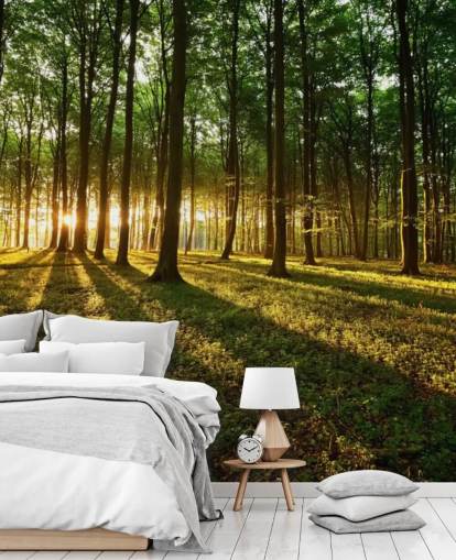 mural de papel de parede de árvore verde personalizável chamado Rays of Light para escritório mural de papel de parede de árvore verde personalizável chamado Rays of Light para escritório