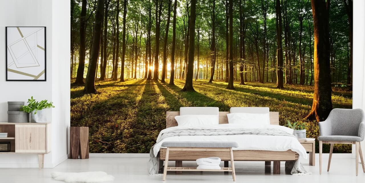 grön anpassningsbar trädtapet väggmålning kallad Rays of Light för kontor grön anpassningsbar trädtapet väggmålning kallad Rays of Light för kontor