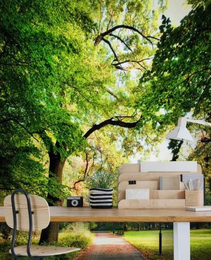 Park Path og Tree Baggrund Park Path og Tree Baggrund