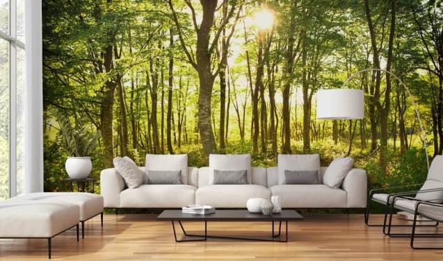 groene en bruine aanpasbare bosbehangmuurschildering genaamd Enchanted Woodland voor thuis of op kantoor