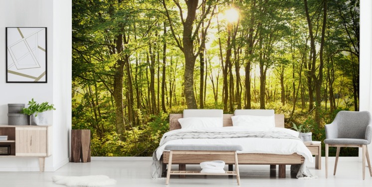 Wandtapete „Enchanted Woodland“ in Grün und Braun, personalisierbar, für Zuhause oder Büro