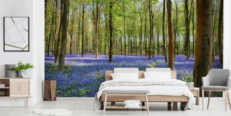 Forest Wallpaper & Tree Wall Murals | Wallsauce US