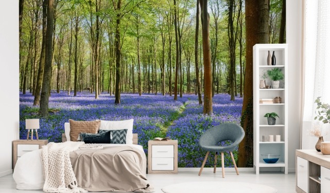 Bedroom Wallpaper Murals | Wallsauce UK