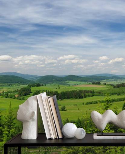 blue and green custom forest wallpaper called Summer Vista for offices blue and green custom forest wallpaper called Summer Vista for offices