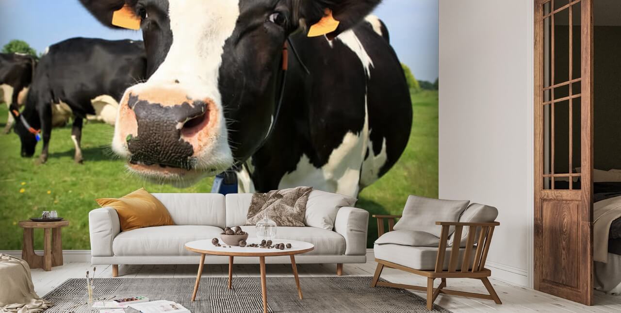 Wall hotsell picture Cow mural