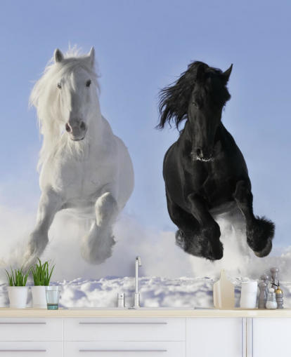 Svart og hvit hest hoppet over Snow Hill Mural Svart og hvit hest hoppet over Snow Hill Mural