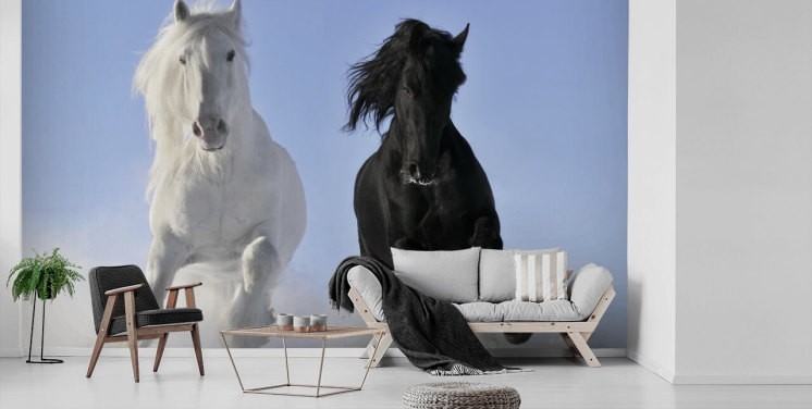 Cavalo preto e branco pulando sobre Snow Hill Mural