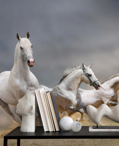 Fondo de pantalla de caballos blancos corriendo Fondo de pantalla de caballos blancos corriendo