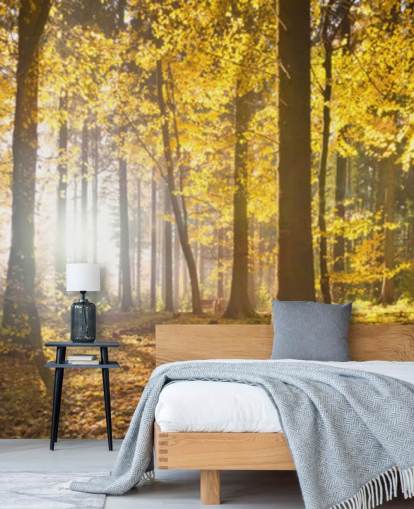papier peint mural Bright Forest Sunlight appelé Bright Forest Sunlight pour les chambres, les bureaux et les salles à manger papier peint mural Bright Forest Sunlight appelé Bright Forest Sunlight pour les chambres, les bureaux et les salles à manger