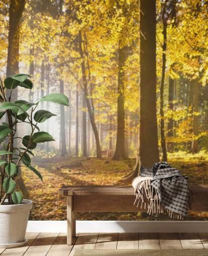 papier peint mural Bright Forest Sunlight appelé Bright Forest Sunlight pour les chambres, les bureaux et les salles à manger papier peint mural Bright Forest Sunlight appelé Bright Forest Sunlight pour les chambres, les bureaux et les salles à manger