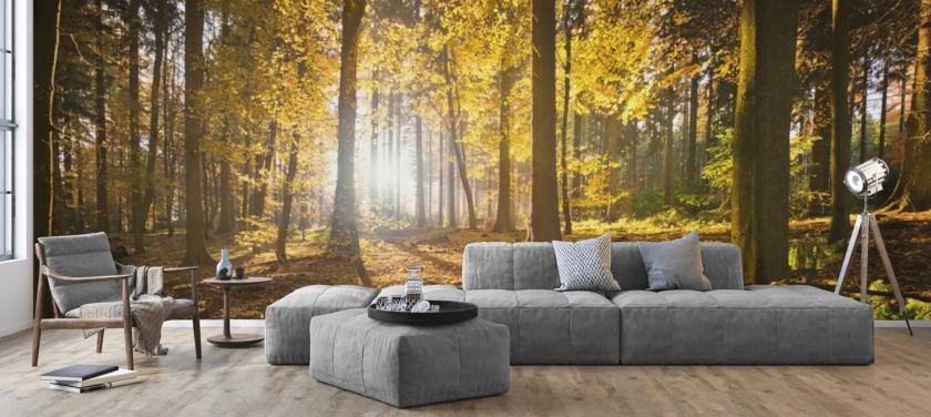 Forest Wallpaper & Tree Wall Murals | Wallsauce US