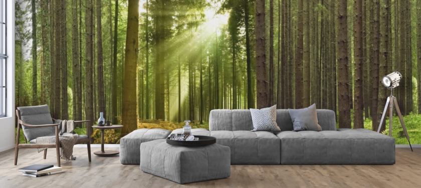 green customizable forest wallpaper called Panoramic Woodland for bedrooms