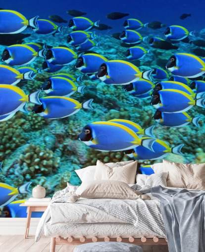 Fish Wallpaper Fish Wallpaper