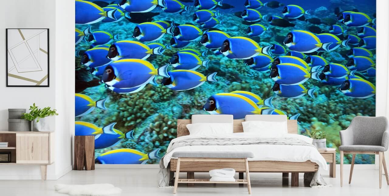 Papel Pintado Pez