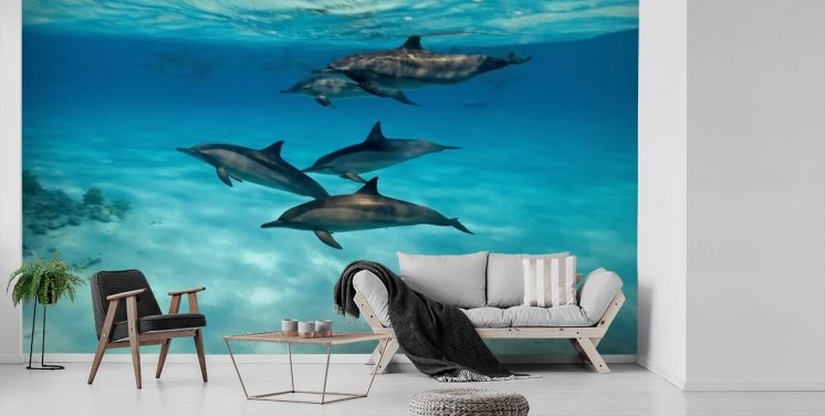 Decorazione murale con delfino sotto il mare