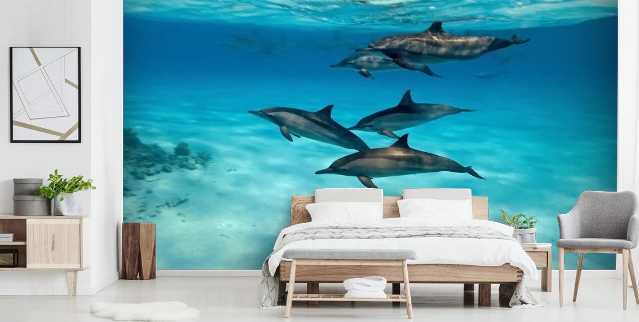 Decorazione murale con delfino sotto il mare Decorazione murale con delfino sotto il mare