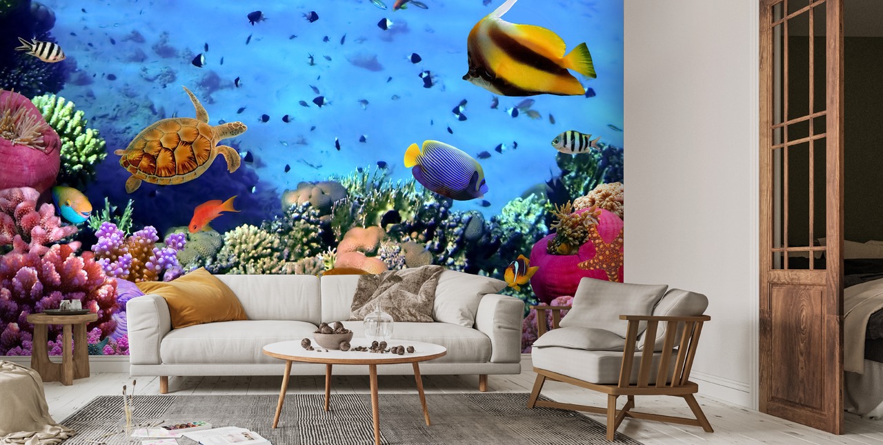 Coral Colony on a Reef Wallpaper | Wallsauce US