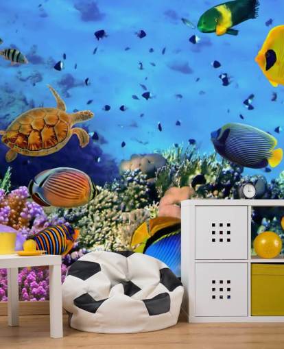 colourful customisable fish wallpaper mural called Photo of a Coral Colony for kid's bedroom colourful customisable fish wallpaper mural called Photo of a Coral Colony for kid's bedroom