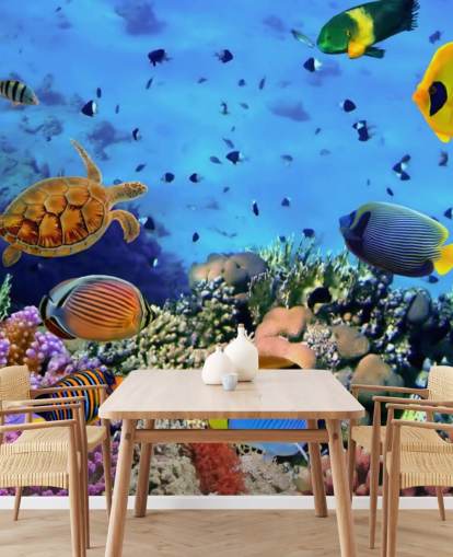 colorful customizable fish wallpaper mural called Photo of a Coral Colony for kid's bedroom colorful customizable fish wallpaper mural called Photo of a Coral Colony for kid's bedroom