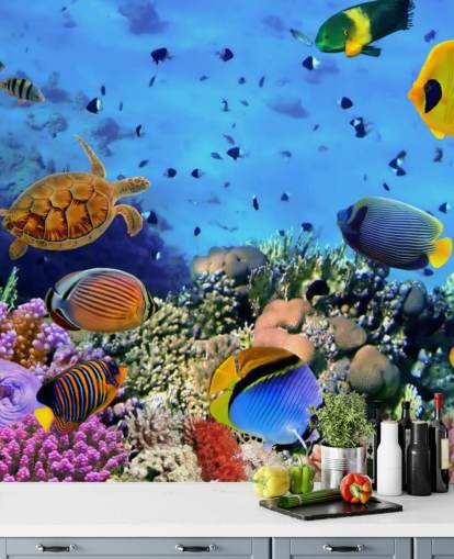 farverigt tilpasseligt fisketapetvægmaleri kaldet Foto af en koralkoloni til børns soveværelse farverigt tilpasseligt fisketapetvægmaleri kaldet Foto af en koralkoloni til børns soveværelse