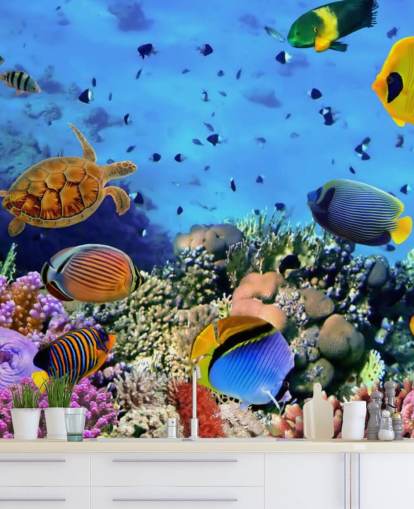 colourful customisable fish wallpaper mural called Photo of a Coral Colony for kid's bedroom colourful customisable fish wallpaper mural called Photo of a Coral Colony for kid's bedroom