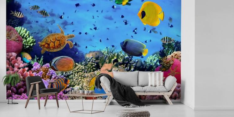 kleurrijke aanpasbare muurschildering met vissen genaamd Photo of a Coral Colony voor de kinderkamer