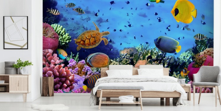 kleurrijke aanpasbare muurschildering met vissen genaamd Photo of a Coral Colony voor de kinderkamer