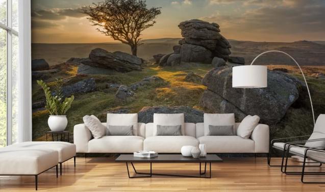 Craggy Mountain Top Mural