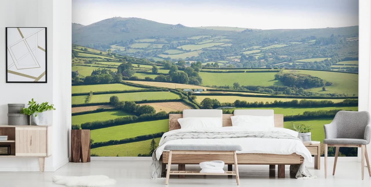 Rolling Green Hills Devon Bakgrund