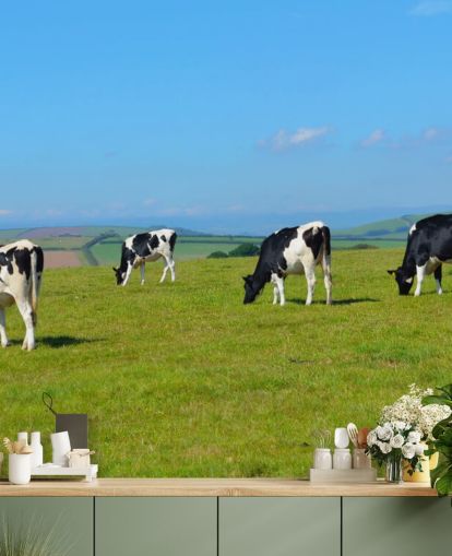 Papel de parede Dairy Devon Cows in Field Papel de parede Dairy Devon Cows in Field
