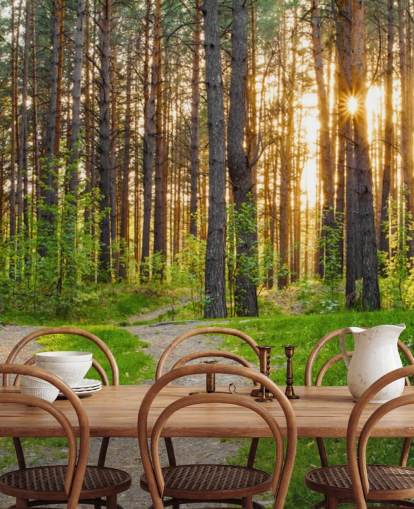 Secret Woodland Path Bakgrunn Secret Woodland Path Bakgrunn