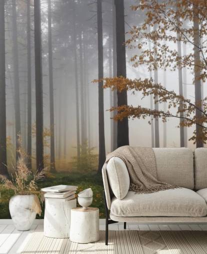 Tåkete Forest Bakgrunn Tåkete Forest Bakgrunn