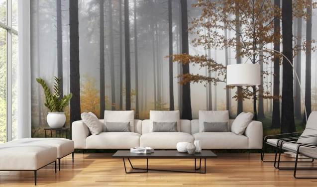 Misty Autumn Forest Forest Wallpaper