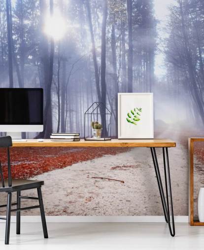 Høst Tåkete Forest Bakgrunn Høst Tåkete Forest Bakgrunn