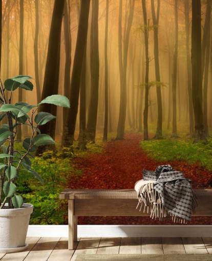 Autumn Forest Wallpaper Autumn Forest Wallpaper