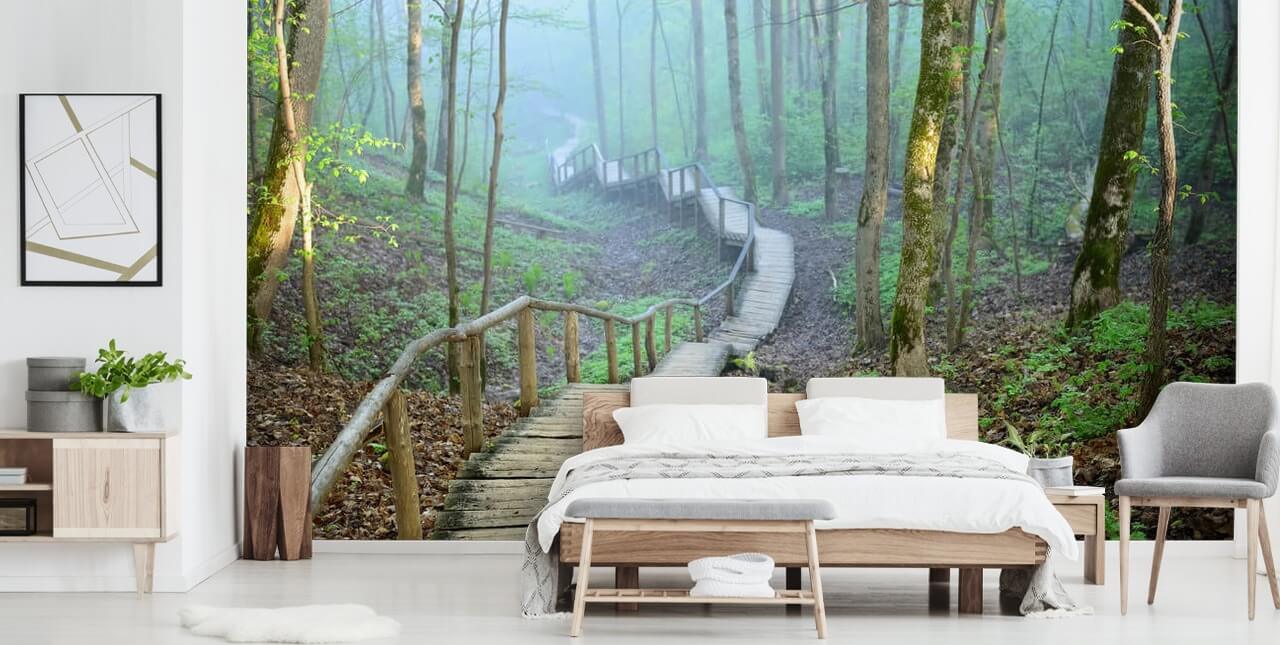 groene en bruine op maat gemaakte bosbehangmuurschildering genaamd Foggy Forest Stairway