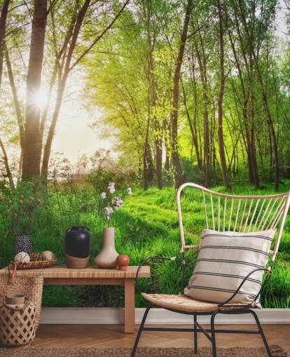 Grön solig skog Bakgrund Grön solig skog Bakgrund