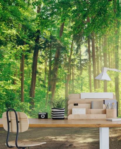 green custom woods wallpaper called Forest Track Sunlight for living rooms or offices green custom woods wallpaper called Forest Track Sunlight for living rooms or offices