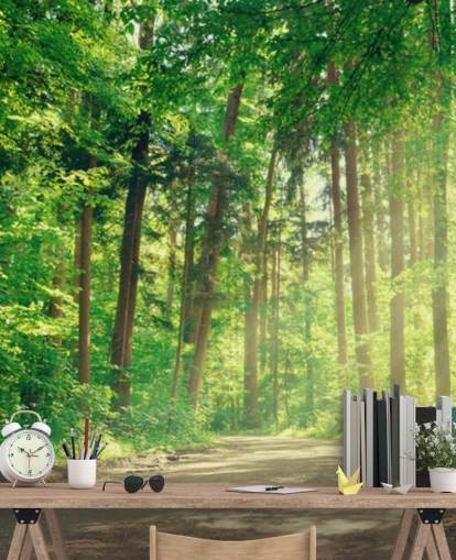 green custom woods wallpaper called Forest Track Sunlight for living rooms or offices  green custom woods wallpaper called Forest Track Sunlight for living rooms or offices