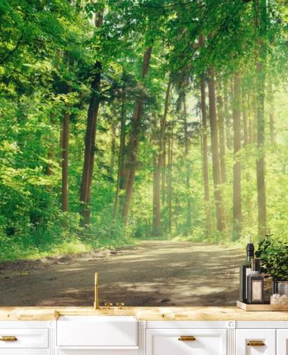 grüne maßgeschneiderte Holztapete namens Forest Track Sunlight für Wohnzimmer oder Büros grüne maßgeschneiderte Holztapete namens Forest Track Sunlight für Wohnzimmer oder Büros